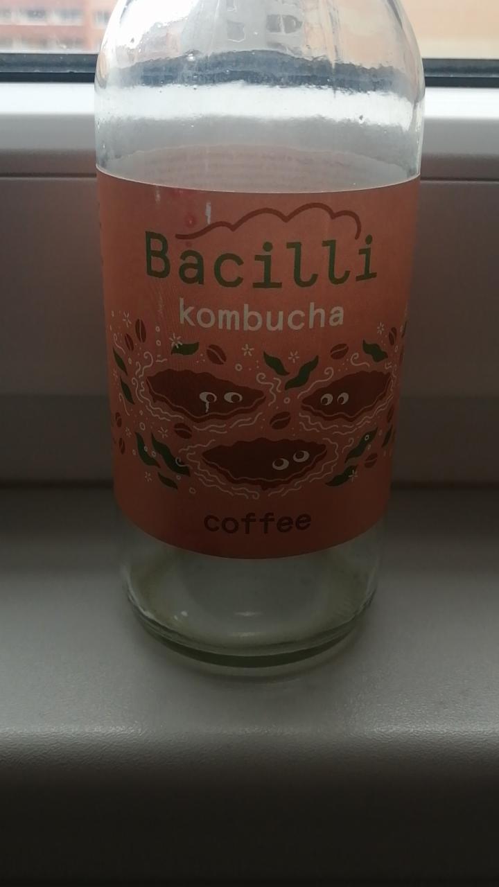 Fotografie - kombucha coffee Bacilli