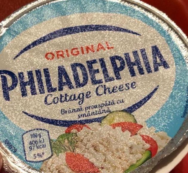 Fotografie - Cottage Cheese Philadelphia