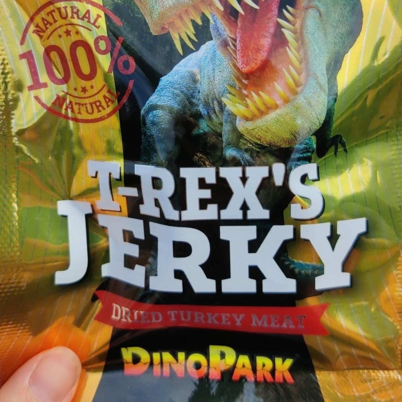 Fotografie - T-Rex's jerky DInoPark