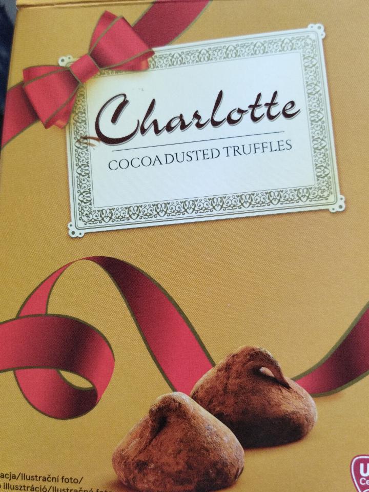 Fotografie - Belgické Truffles pralinky s kakaem