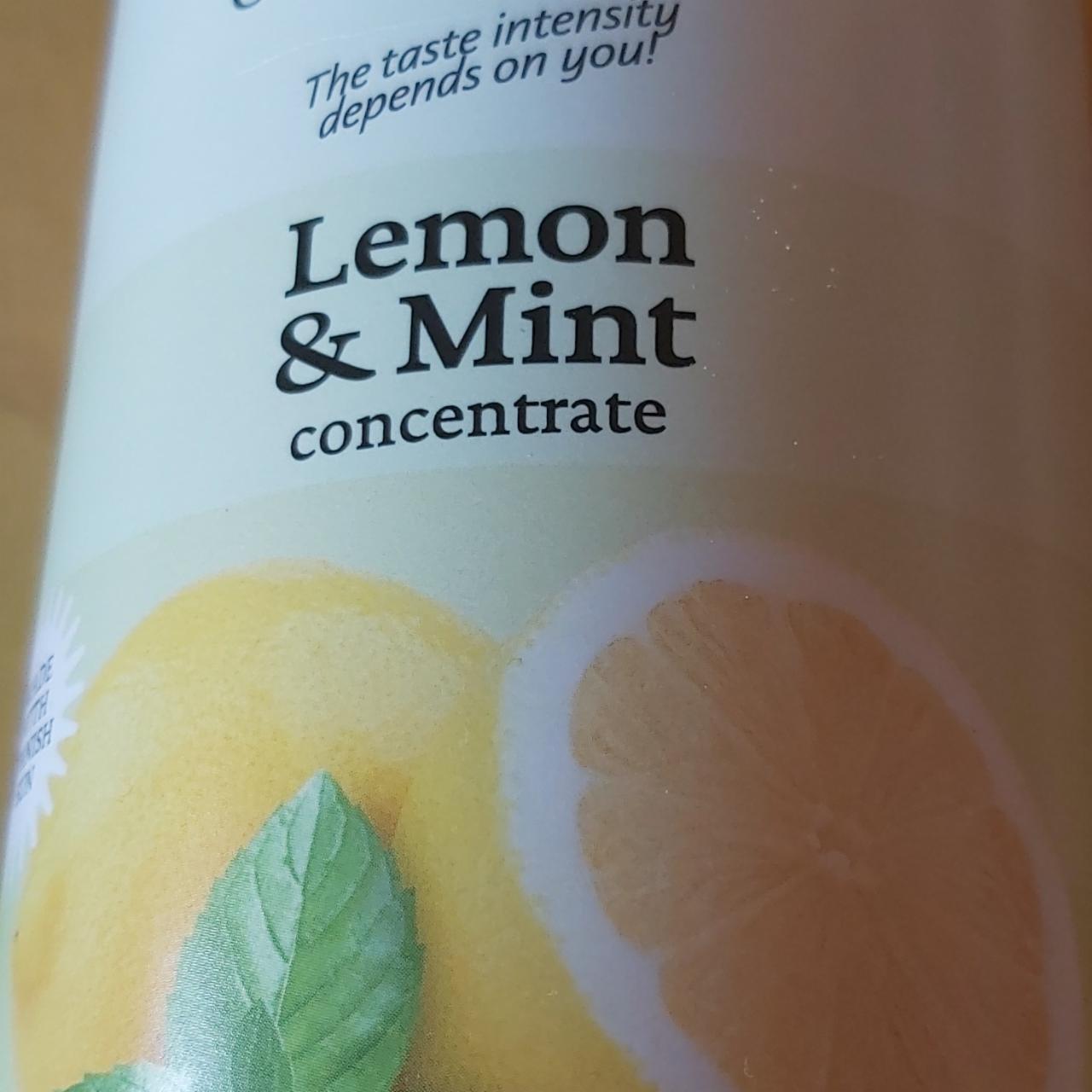 Fotografie - Lemon & mint Concentrate