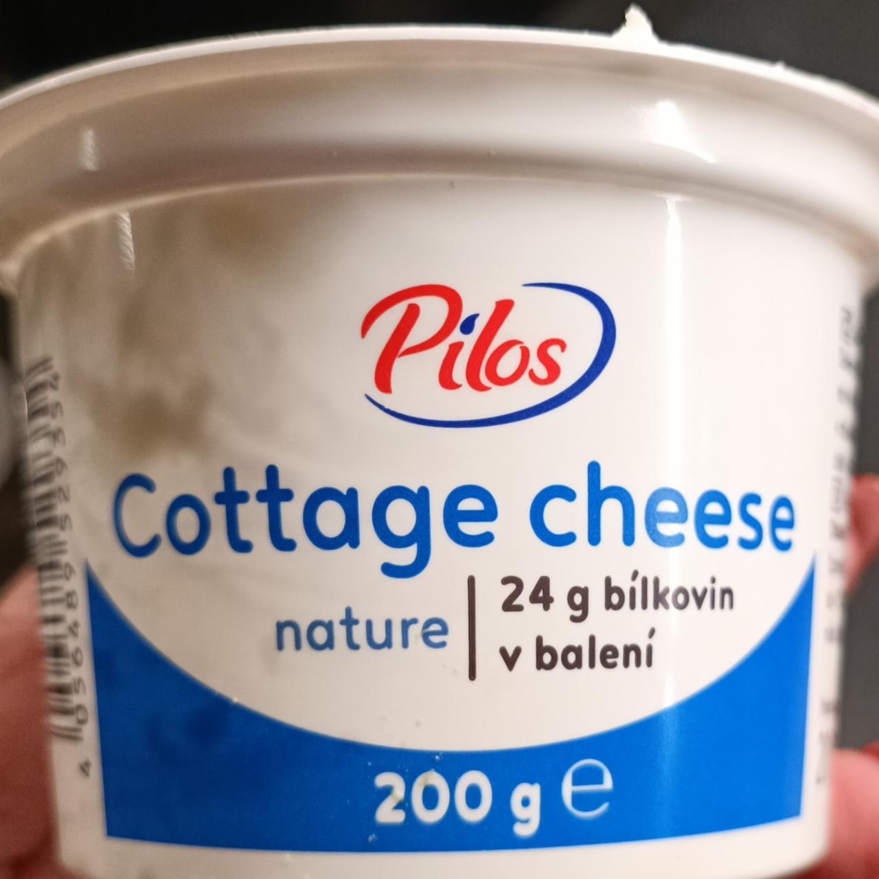 Fotografie - Cottage cheese nature Pilos