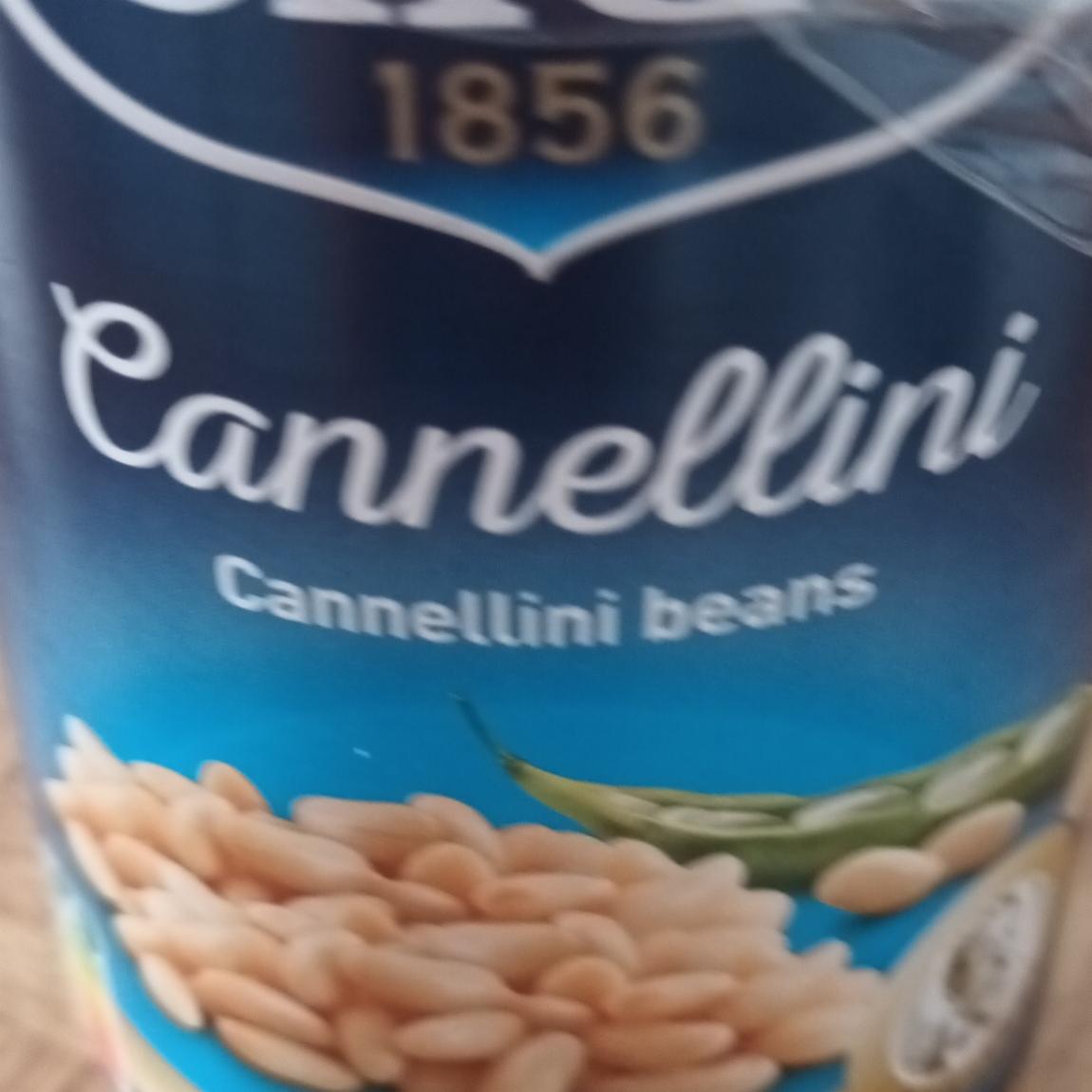 Fotografie - Cannellini Beans Cirio
