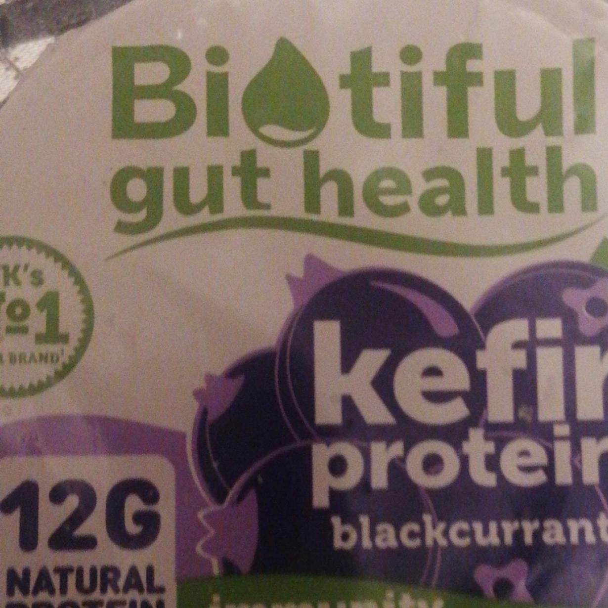 Fotografie - Gut health kefir protein blackcurrant Biotiful