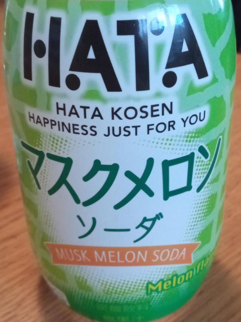 Fotografie - Hata Kosen Musk Melon Soda Hata