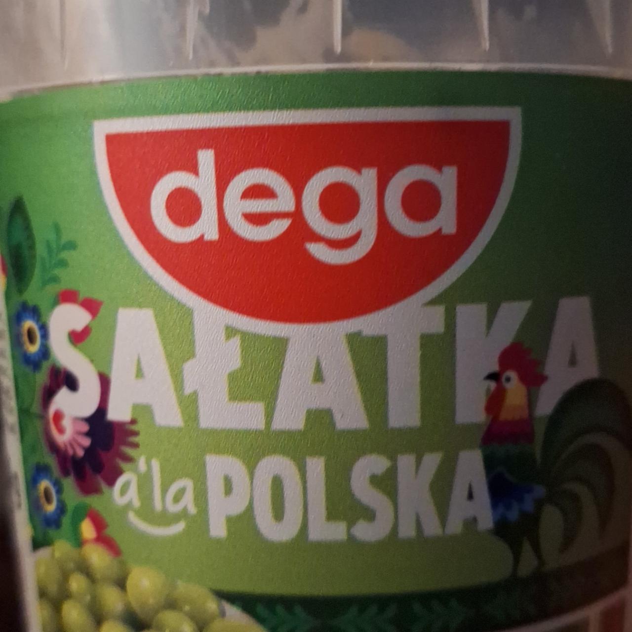 Fotografie - Salatka á la Polska Dega
