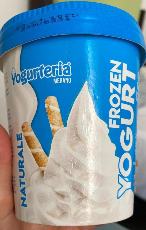 Fotografie - Frozen Yogurt naturale Yogurteria Merano