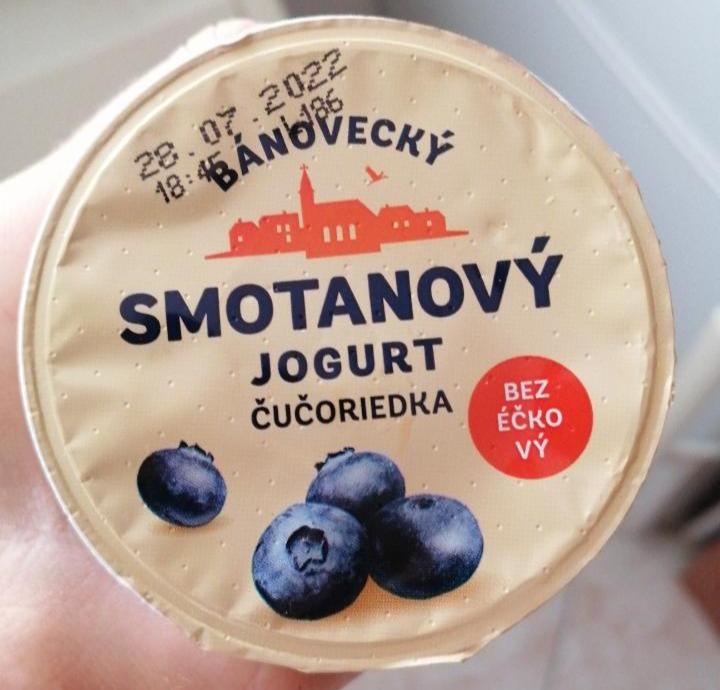 Fotografie - Bánovecký smetanový jogurt borůvka