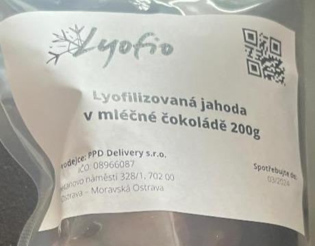 Fotografie - Lyofilizovaná jahoda v mléčné čokoládě Lyofio