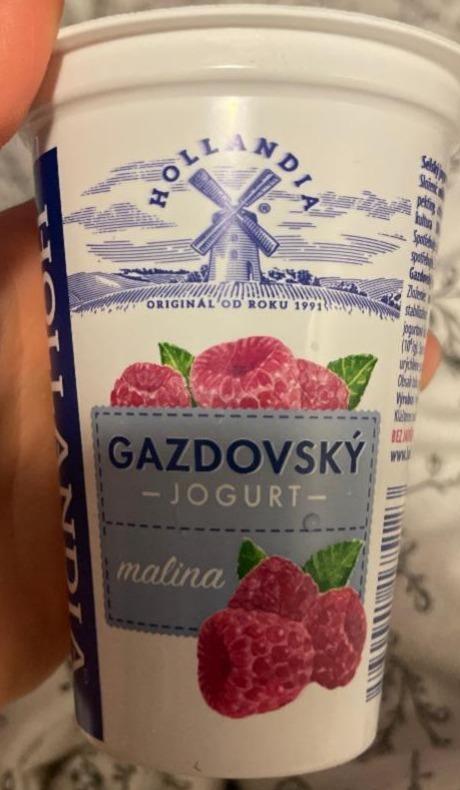 Fotografie - Gazdovský jogurt malina