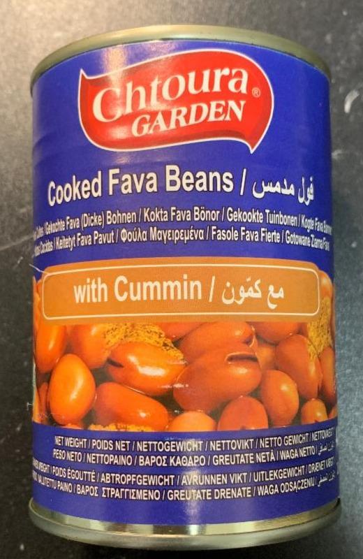 Fotografie - Cooked Fava Beans with Cummin Chtoura Garden