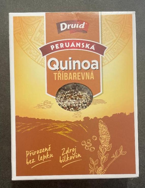 Fotografie - Quinoa peruánská tříbarevná Druid