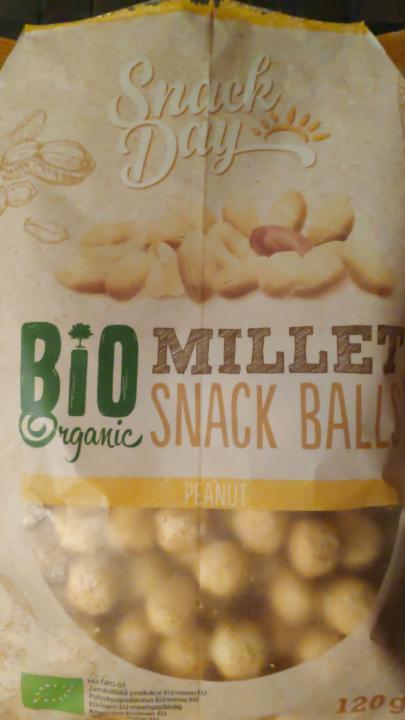 Fotografie - Bio Millet Snack Balls Peanut Snack Day
