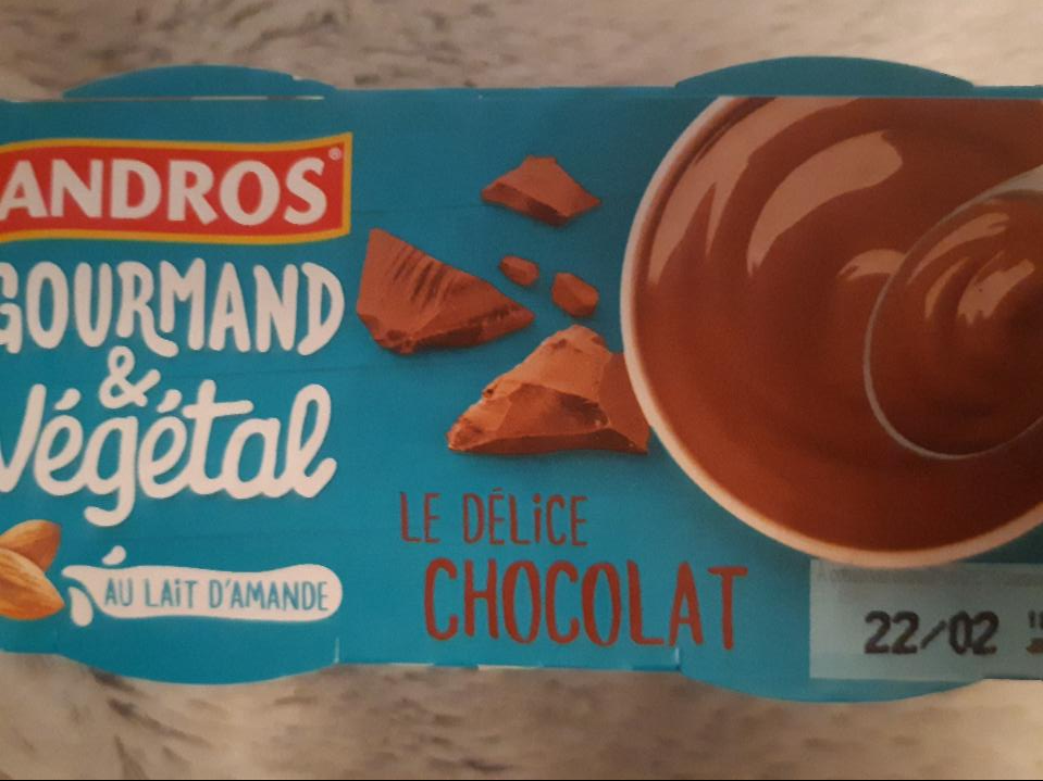 Fotografie - Gurmand a Végétal Le Delice Chocolat Andros
