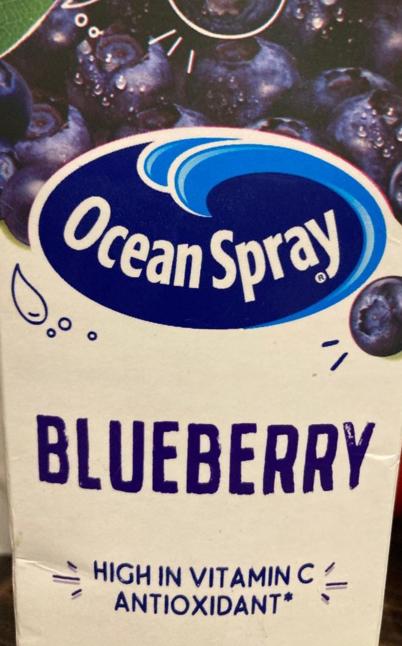 Fotografie - Blueberry Juice Ocean Spray
