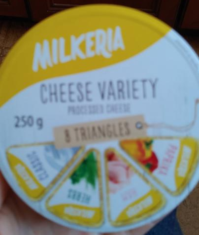 Fotografie - Cheese Variety Milkeria