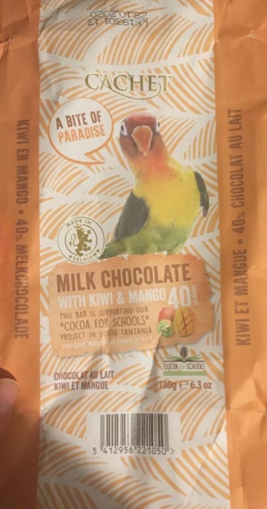 Fotografie - Milk chocolate with kiwi and mango