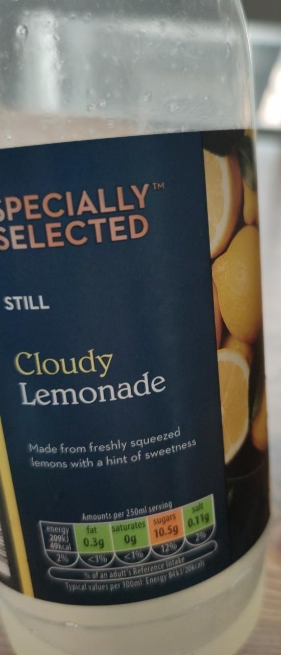 Fotografie - Still Cloudy Lemonade Specially Selected