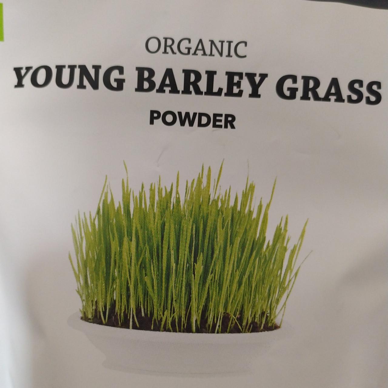Fotografie - Organic young barley grass powder Health Link