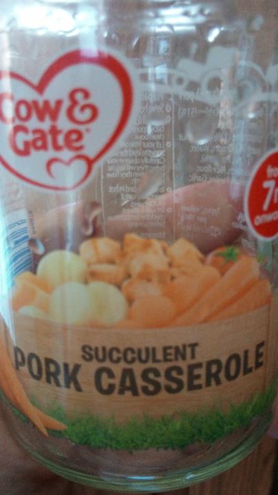 Fotografie - Cow & Gate succulent pork casserole
