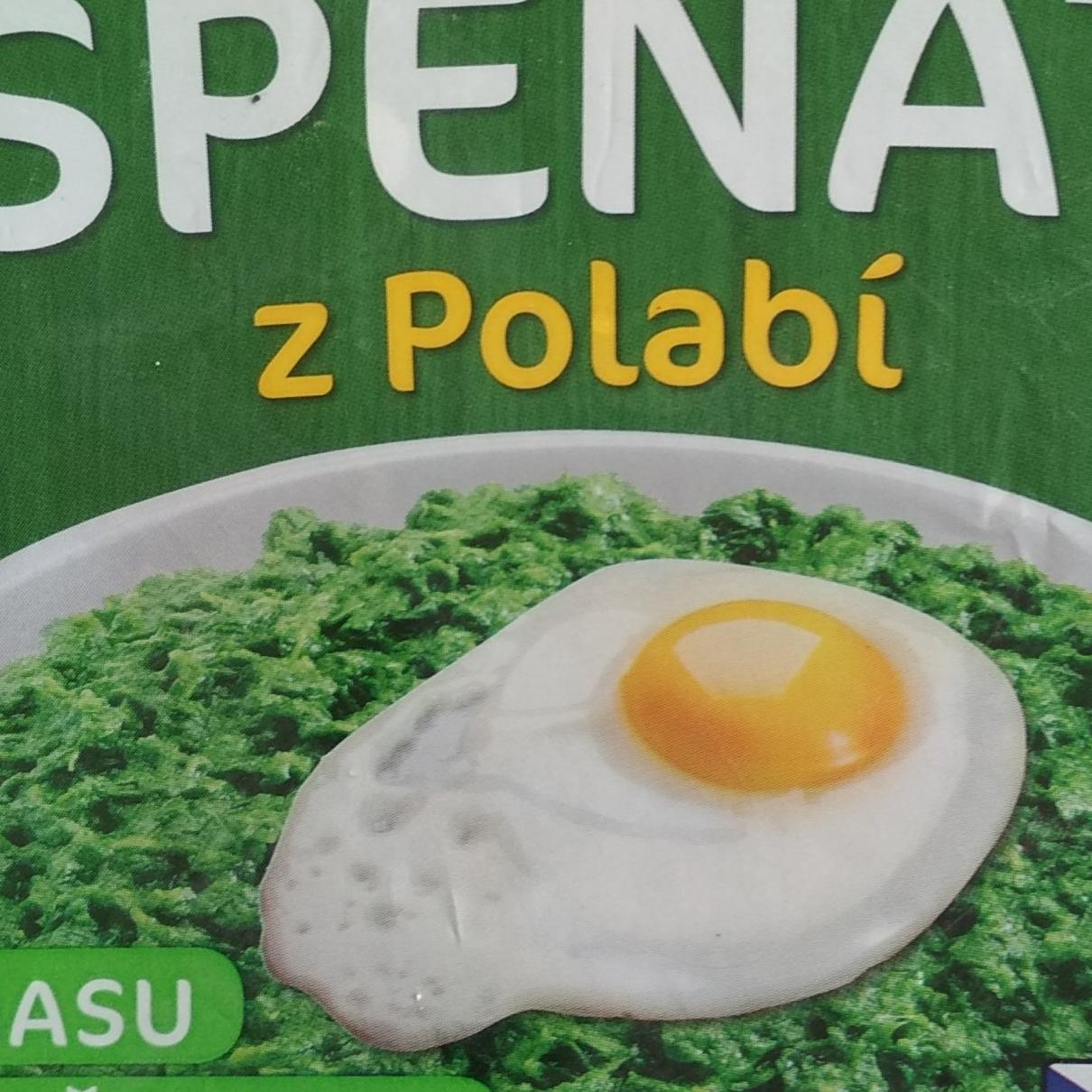 Fotografie - Český špenát z Polabí