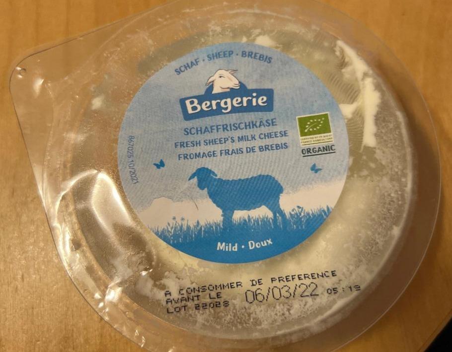 Fotografie - ovčí sýr Bergerie