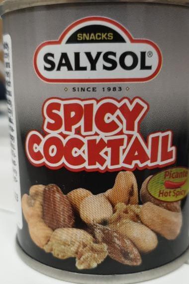 Fotografie - Spicy Nuts Cocktail Salysol