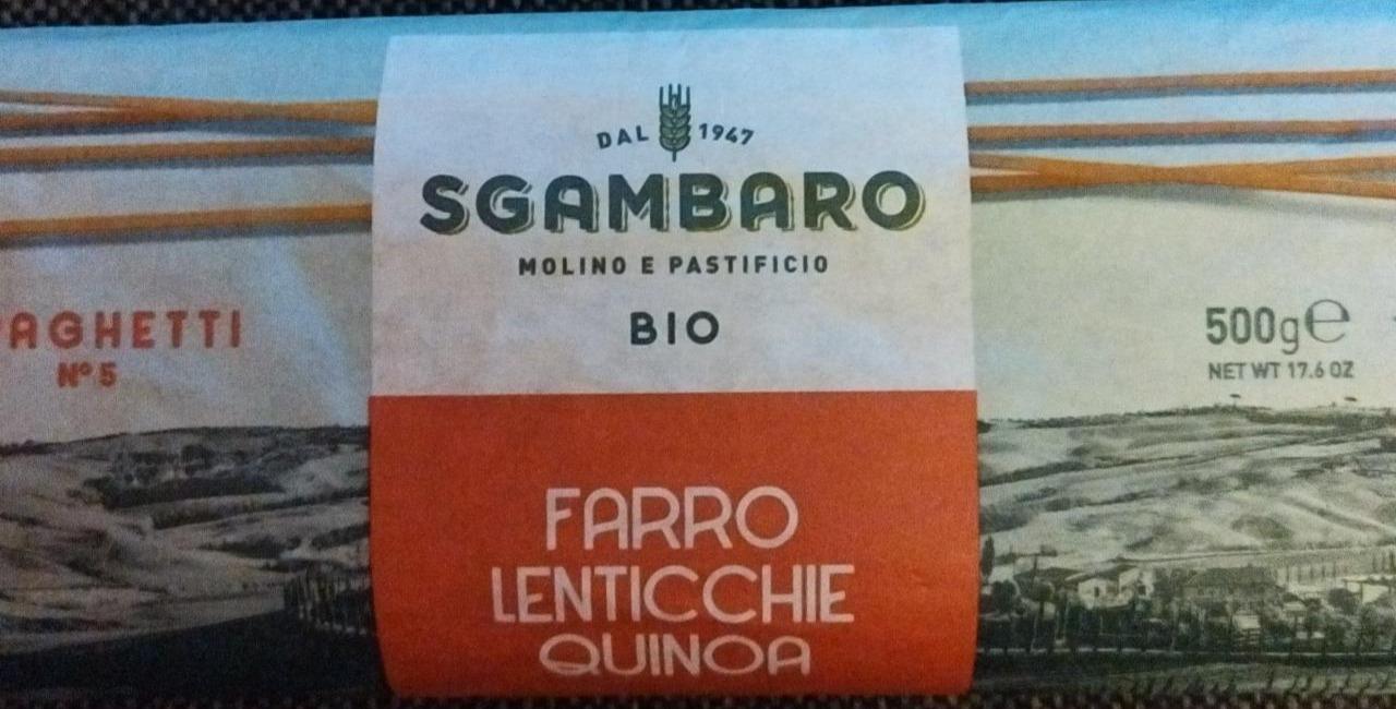 Fotografie - Bio Farro Lenticchie Quinoa Penne Rigate N° 91 Sgambaro