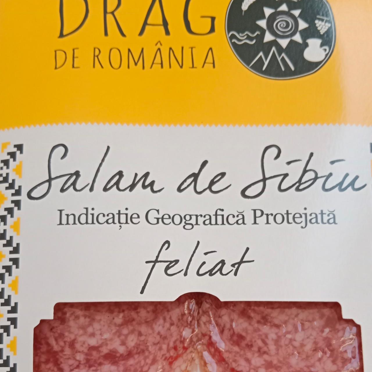Fotografie - Salam de Síbíu felíat Drag de România