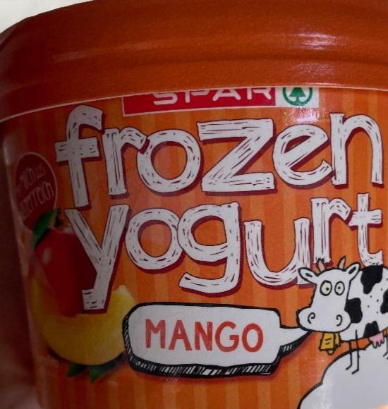 Fotografie - frozen yogurt mango Spar