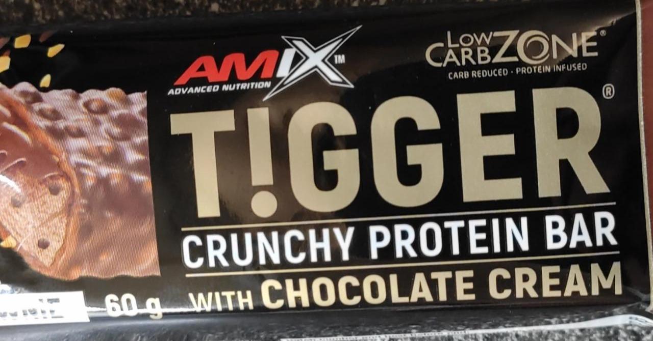 Fotografie - tigger protein bar with chocolate cream Amix