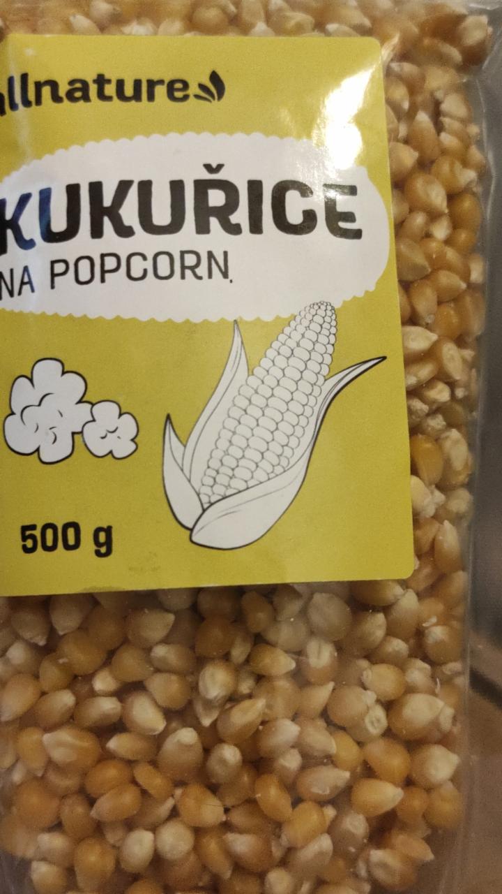 Fotografie - Kukuřice na popcorn Allnature