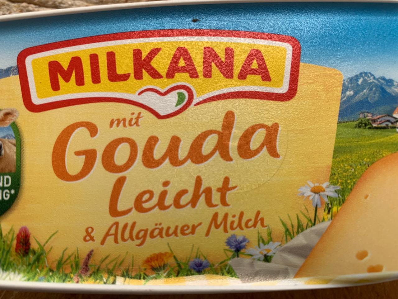 Fotografie - Gouda Leicht & Allgäuer Milch Milkana