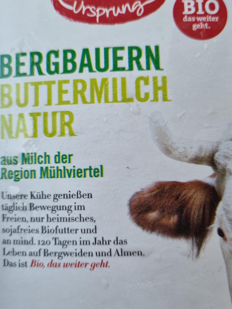 Fotografie - Bio Bergbauern Buttermilch Natur Zurück zum Ursprung