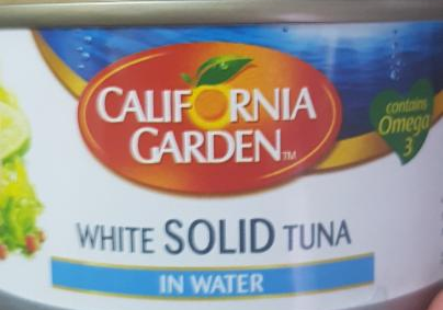 Fotografie - White Solid Tuna In Water California Garden
