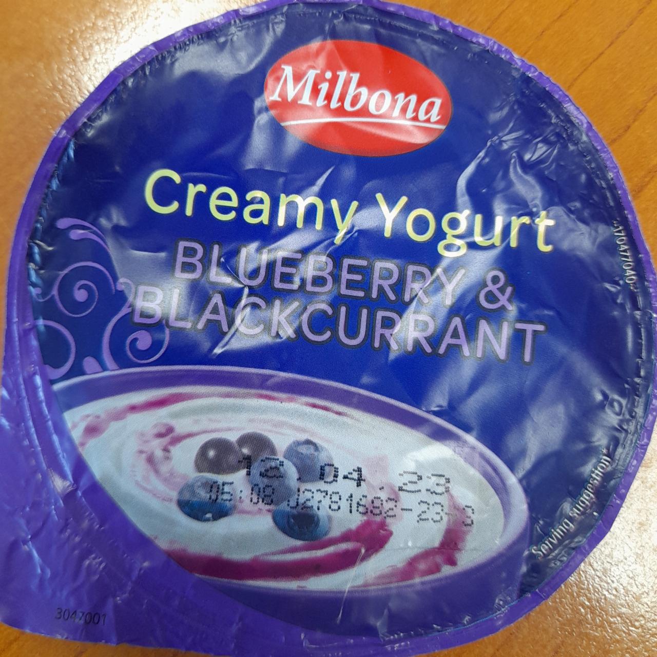 Fotografie - Creamy Yogurt Blueberry & Blackcurrant Milbona