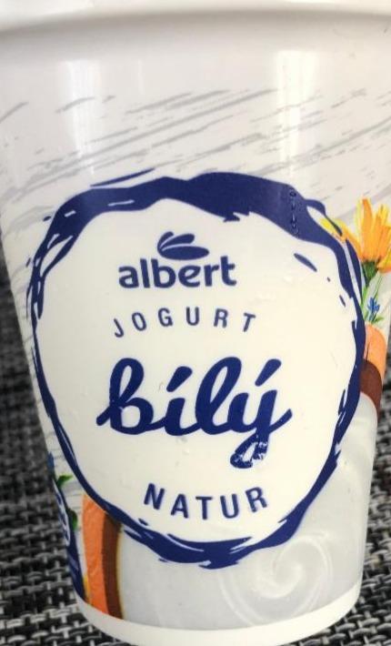 Fotografie - Bílý jogurt natur Albert