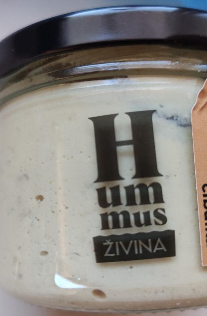 Fotografie - Hummus Karamelizovaná cibulka Živina