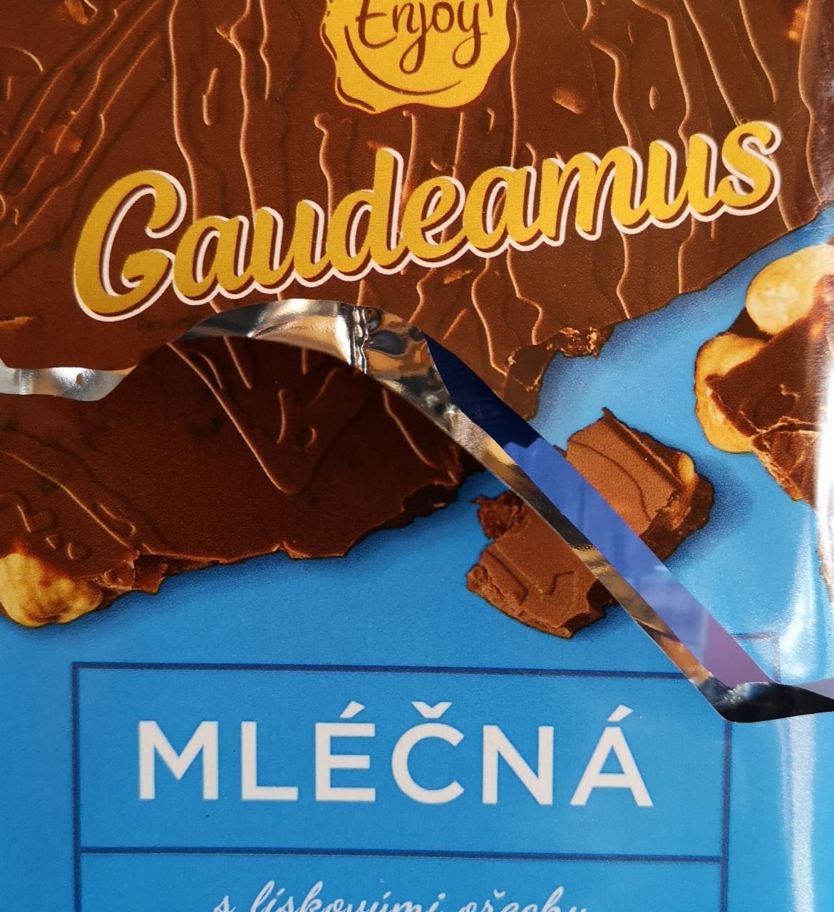 Fotografie - Mléčná čokoláda s lískovými ořechy, rozinkami a želé Gaudeamus
