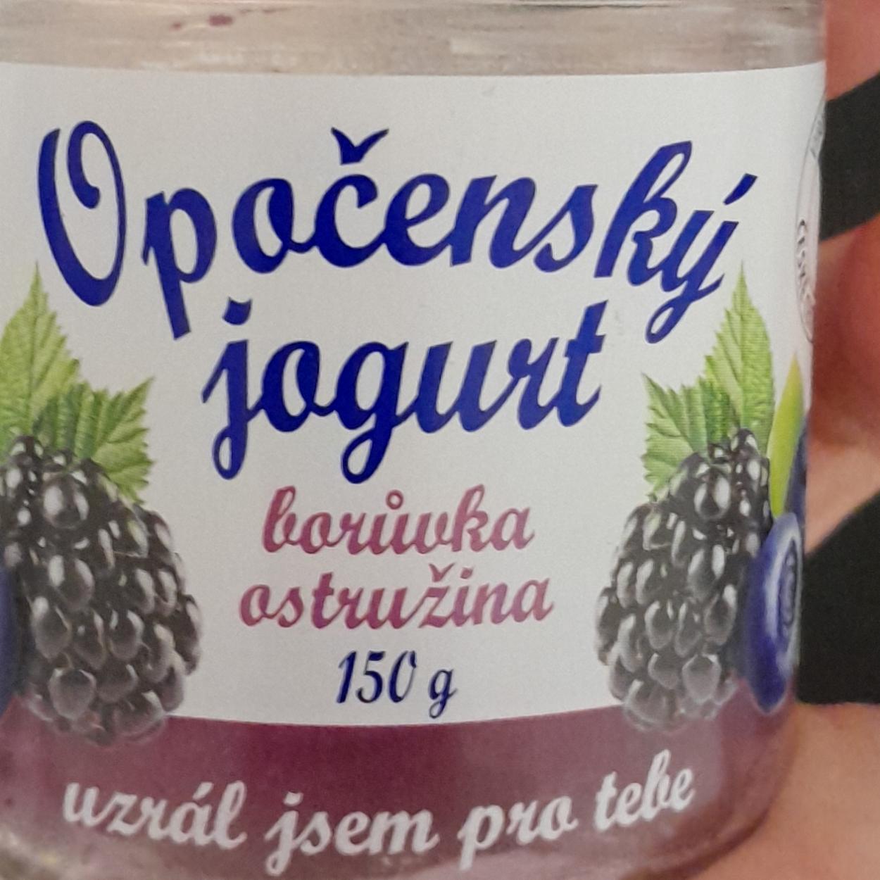Fotografie - Opočenský jogurt borůvka ostružina