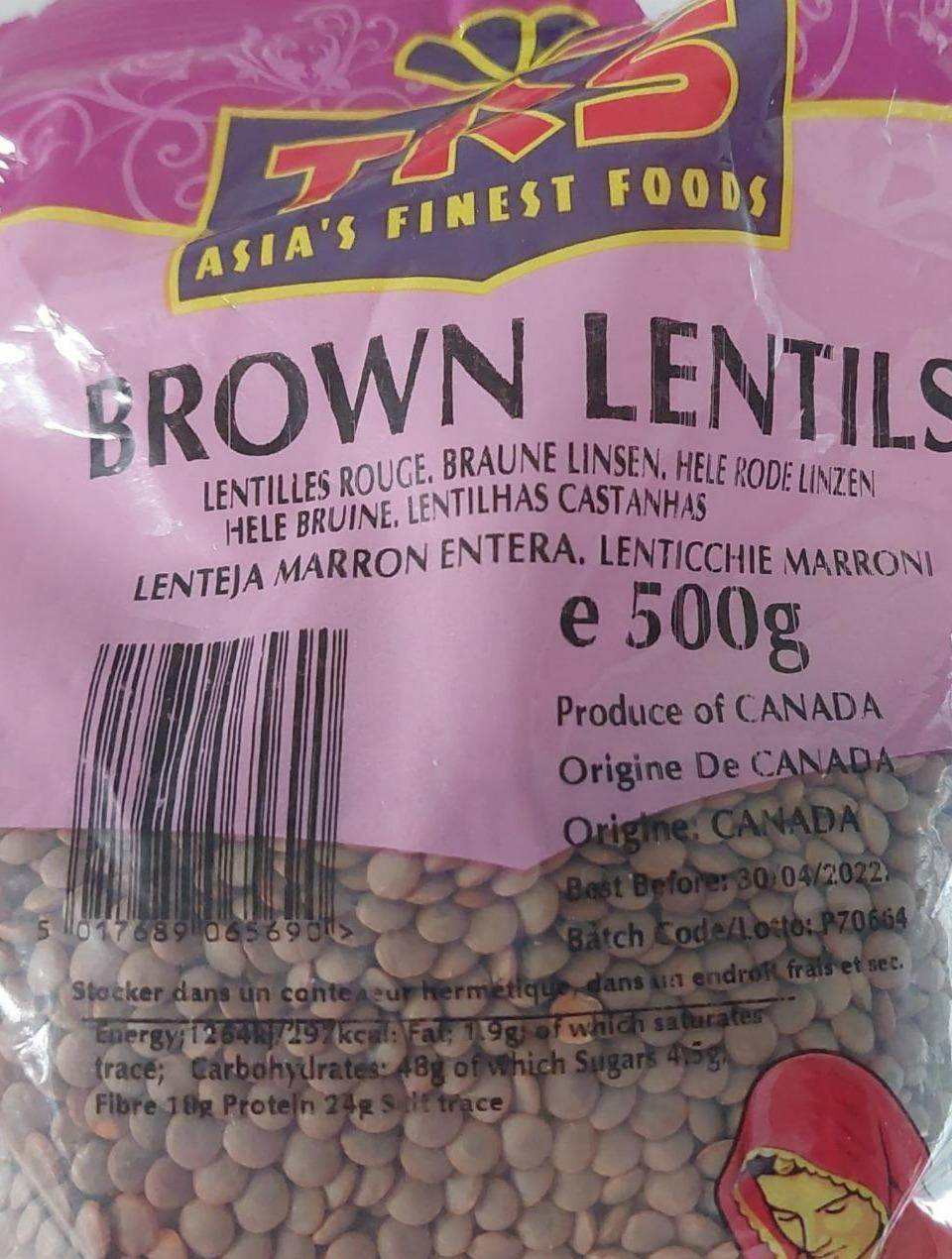 Fotografie - TRS Brown lentils čočka hnědá