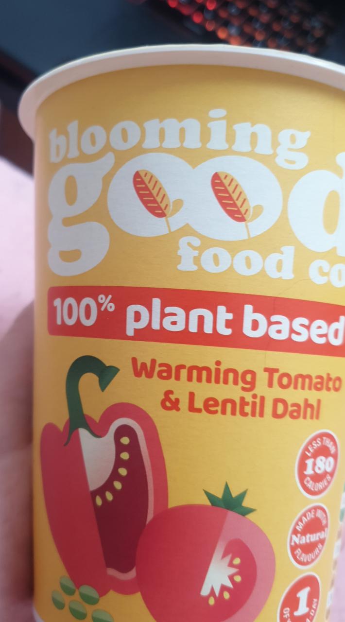 Fotografie - Blooming good warming tomato & lentil dahl