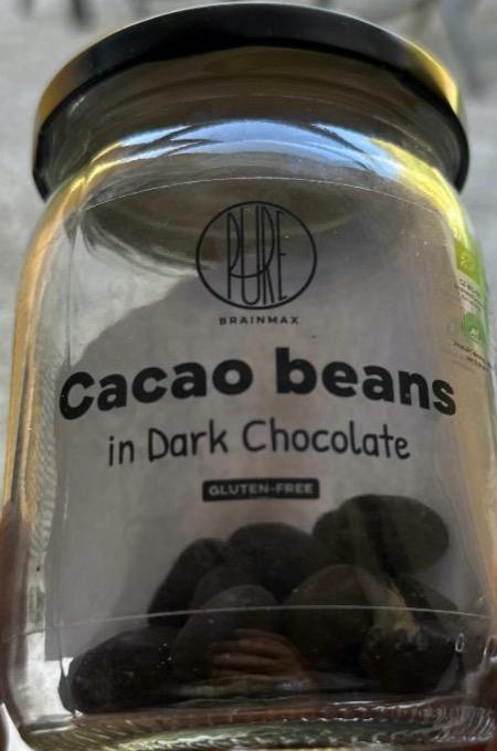 Fotografie - Cacao beans in Dark chocolate BrainMax