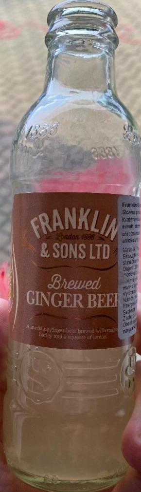 Fotografie - Brewed Ginger Beer Franklin & Sons