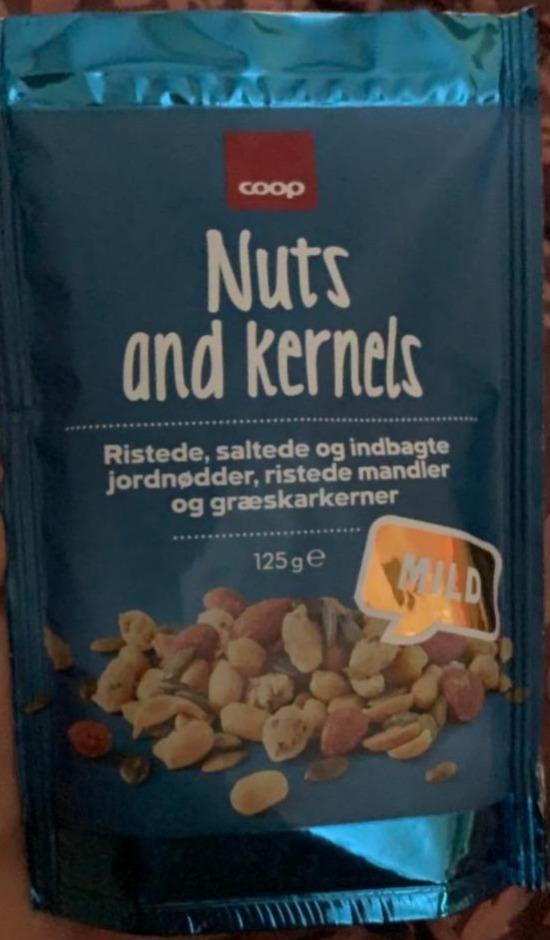 Fotografie - Nuts and kernels Coop