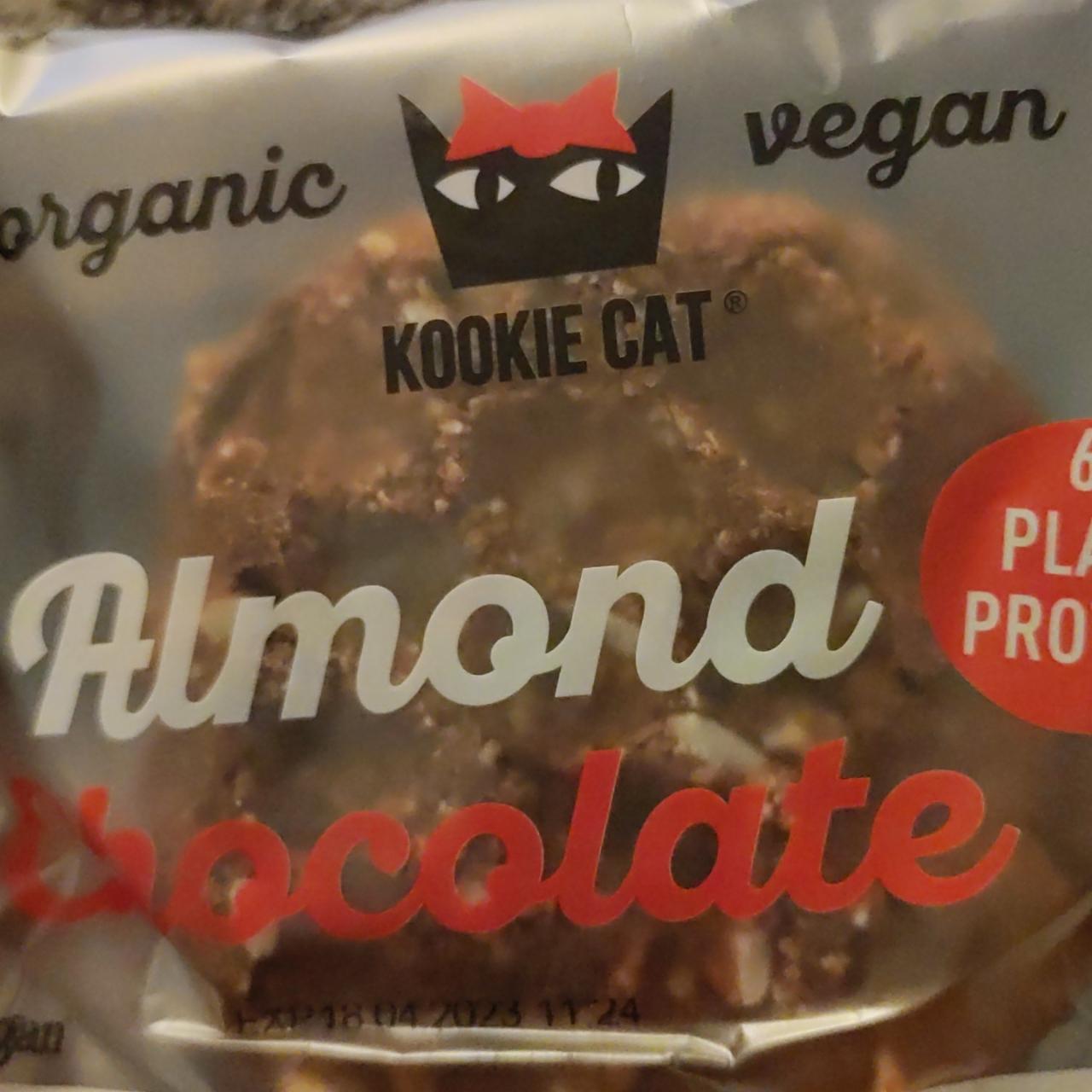 Fotografie - Almond Chocolate Kookie cat