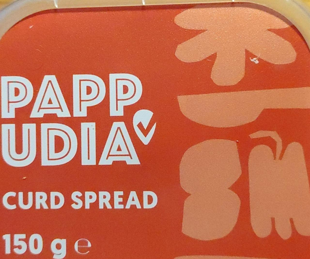 Fotografie - Curd spread Pappudia