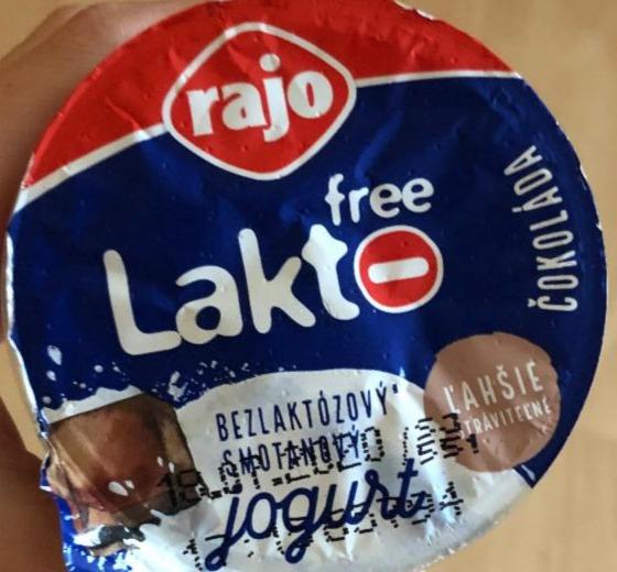 Fotografie - čokoládový bezlaktózový jogurt Rajo