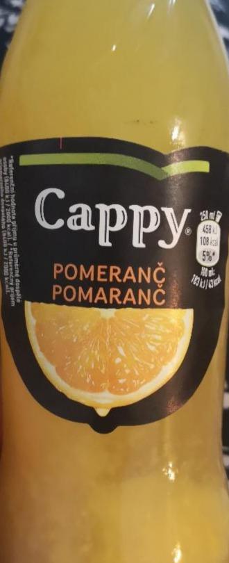 Fotografie - Cappy pomeranč nektar 50%
