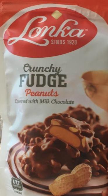 Fotografie - Crunchy fudge peanuts covered with milk chocolate Lonka